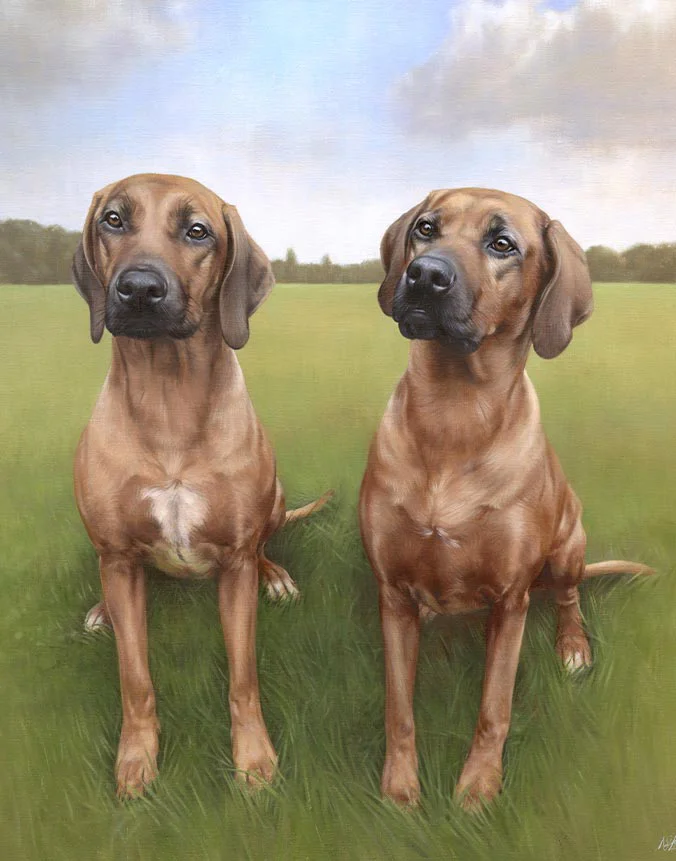 Amba & Maddie: Rhodesian Ridgeback dog oil painting by Nicholas Beall Oil painting of Amba and Maddie, two Rhodesian Ridgeback dogs, by Nicholas Beall