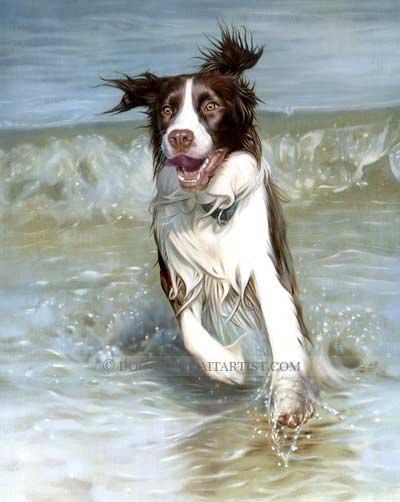 spaniel oil on canvas