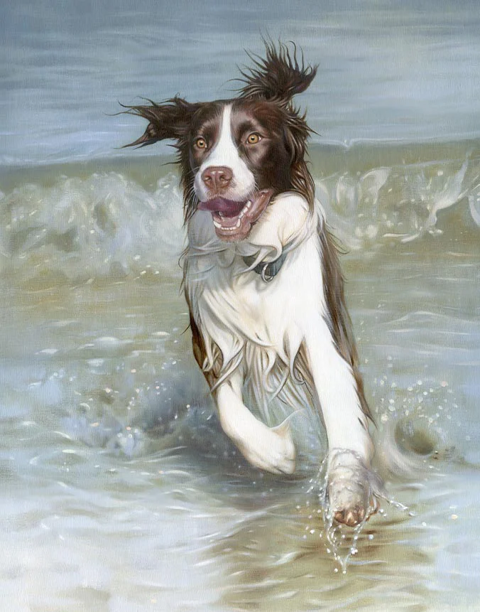 Finished oil portrait of Banjo the English Springer Spaniel Completed oil portrait of Banjo, an English Springer Spaniel, dynamically leaping from the sea.