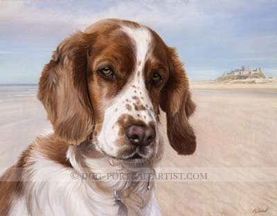 Spaniel Portraits