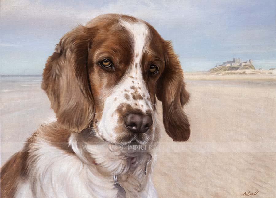 Spaniel Pet Portraits by Nicholas Beall