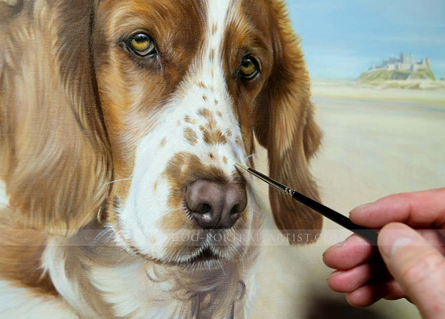 Spaniel Portraits by Nicholas Beall