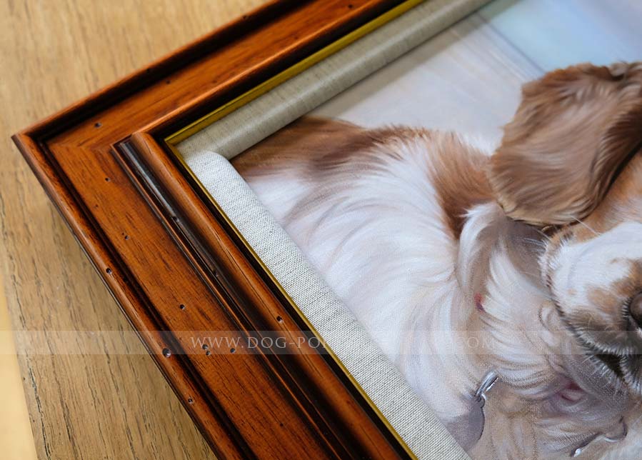 Spaniel Portraits by Nicholas Beall