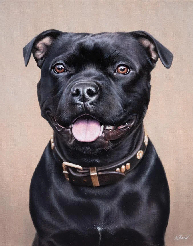 Nell: Staffy dog oil painting by Nicholas Beall Oil painting of Nell, a Staffy dog, by Nicholas Beall