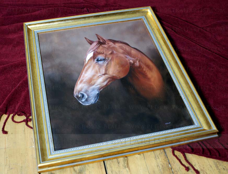 Horse Portraits Framed