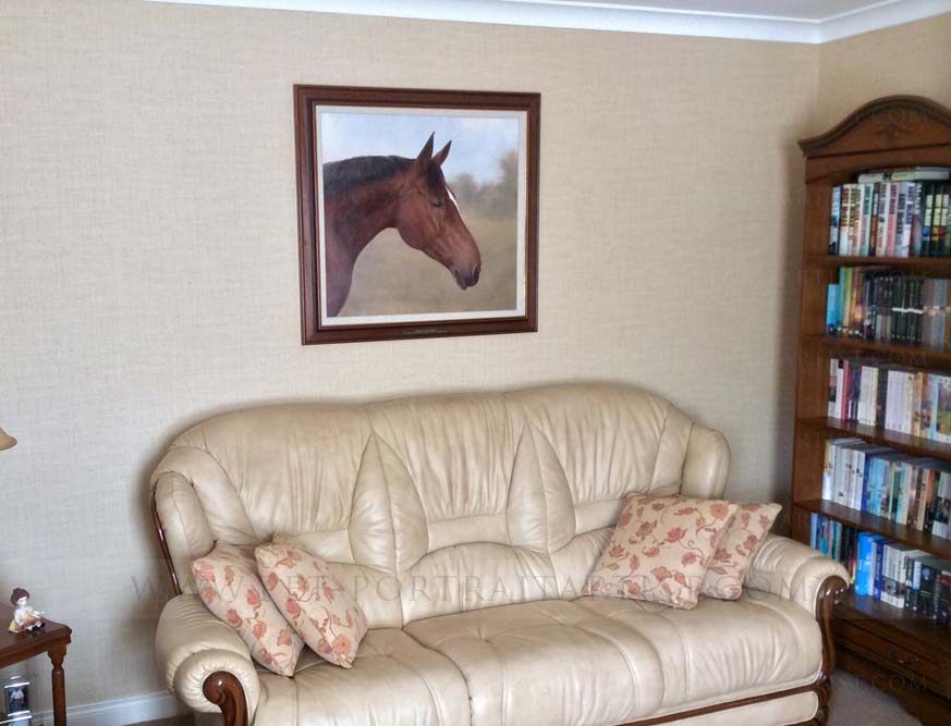 Horse Portrait In Situ