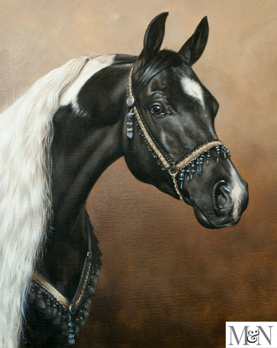 Horse Portrait In Oils By Nick Beall