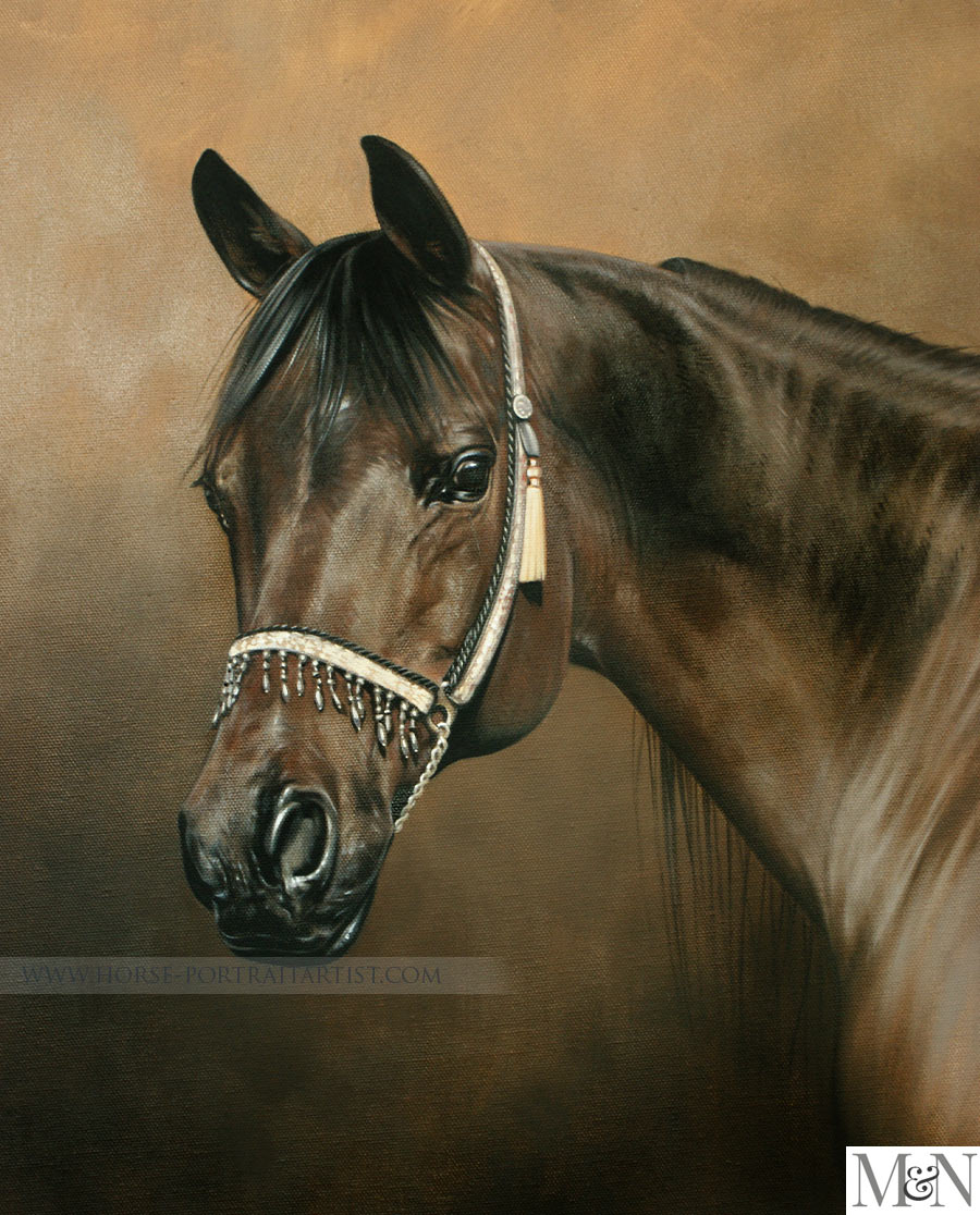 Equine Pet Portraits - Kharisma