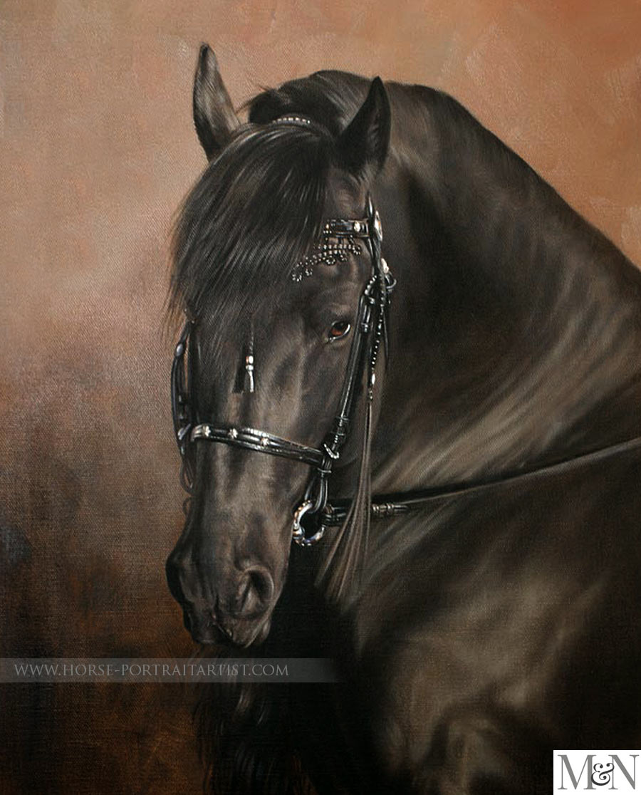 Equine Pet Portraits - Eric