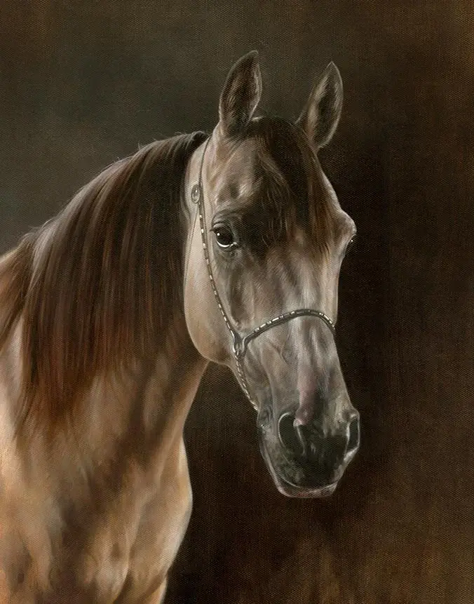 Remy: Horse painting in oils by Nicholas Beall Classic oil painting of Remy the horse by Nicholas Beall