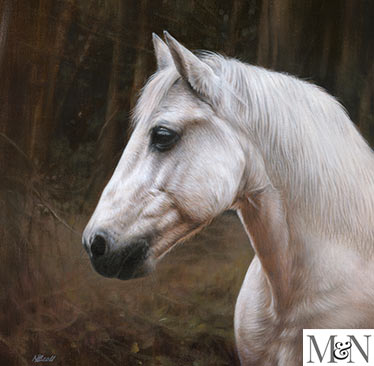 horse pet portraits