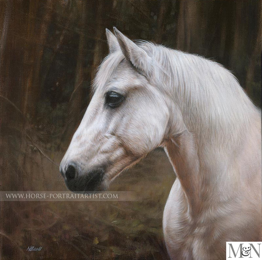 Horse Pet Portraits