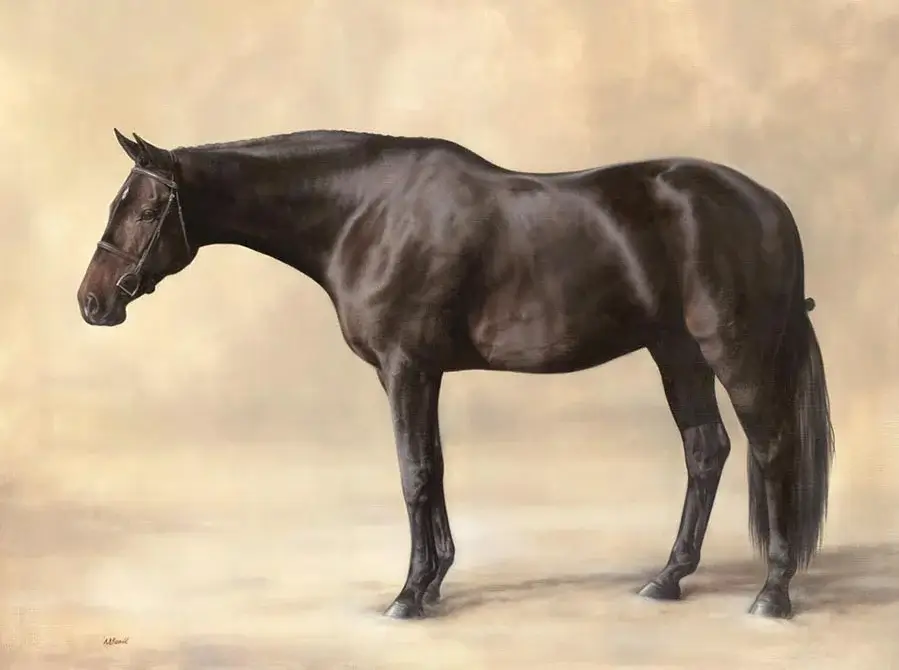 Lockheart: Horse full-body oil portrait study Full-body oil portrait study of Lockheart the horse by Nicholas Beall