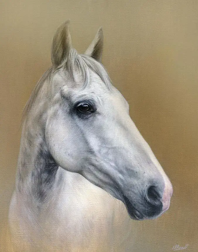 Artu: Oil pet portrait of the horse by Nicholas Beall Oil pet portrait of Artu the horse by Nicholas Beall