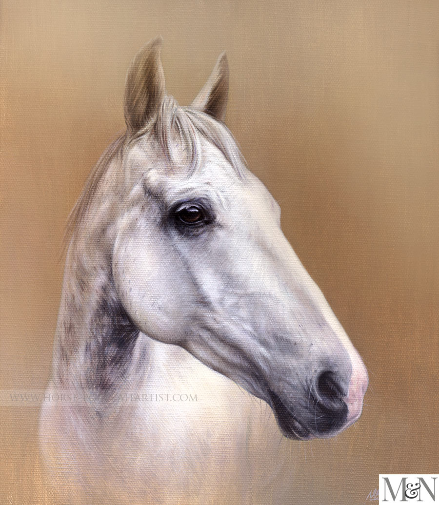 Pet Portraits Horse