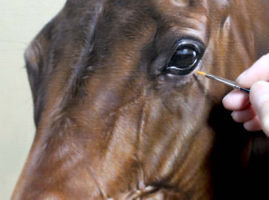 Retired Race Horse Portraits