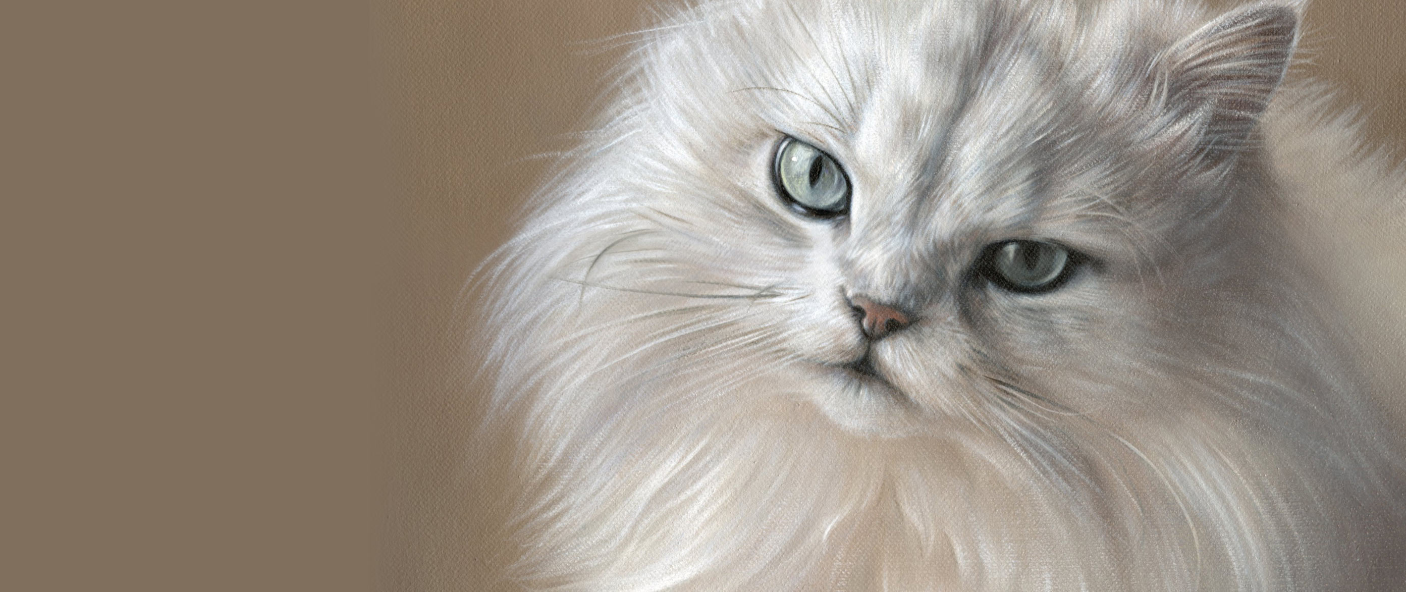 FAQs and pricing for custom pet portraits