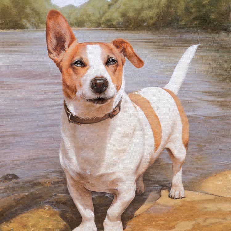 Dog Pet Portraits