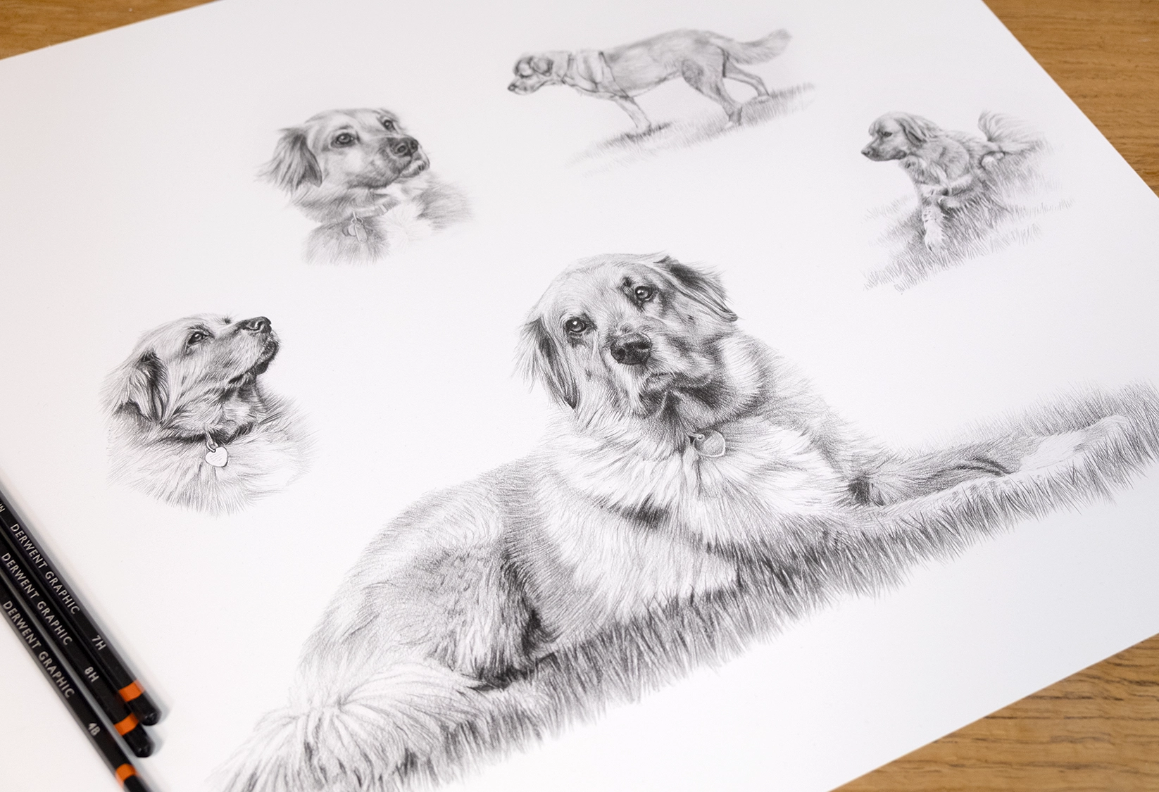 Dog Life Story pencil portrait by Melanie Phillips