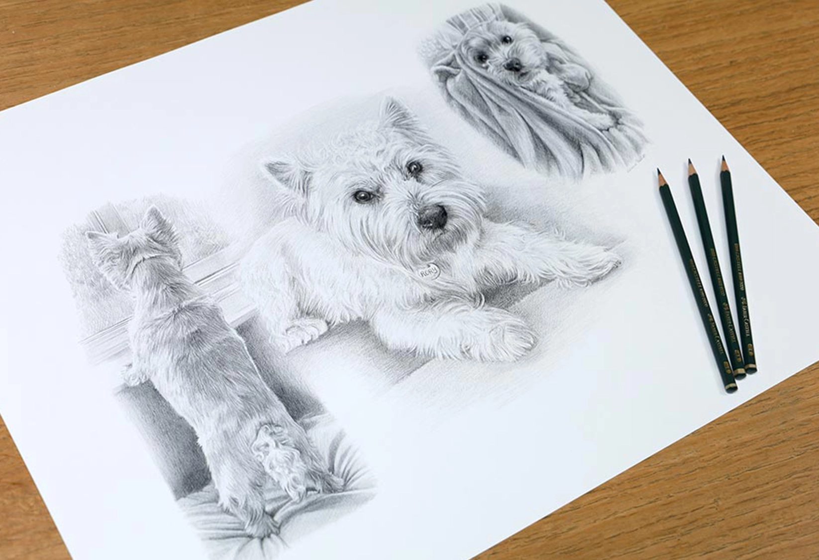 Life Story Portrait of Rory in pencil for a client in the UK