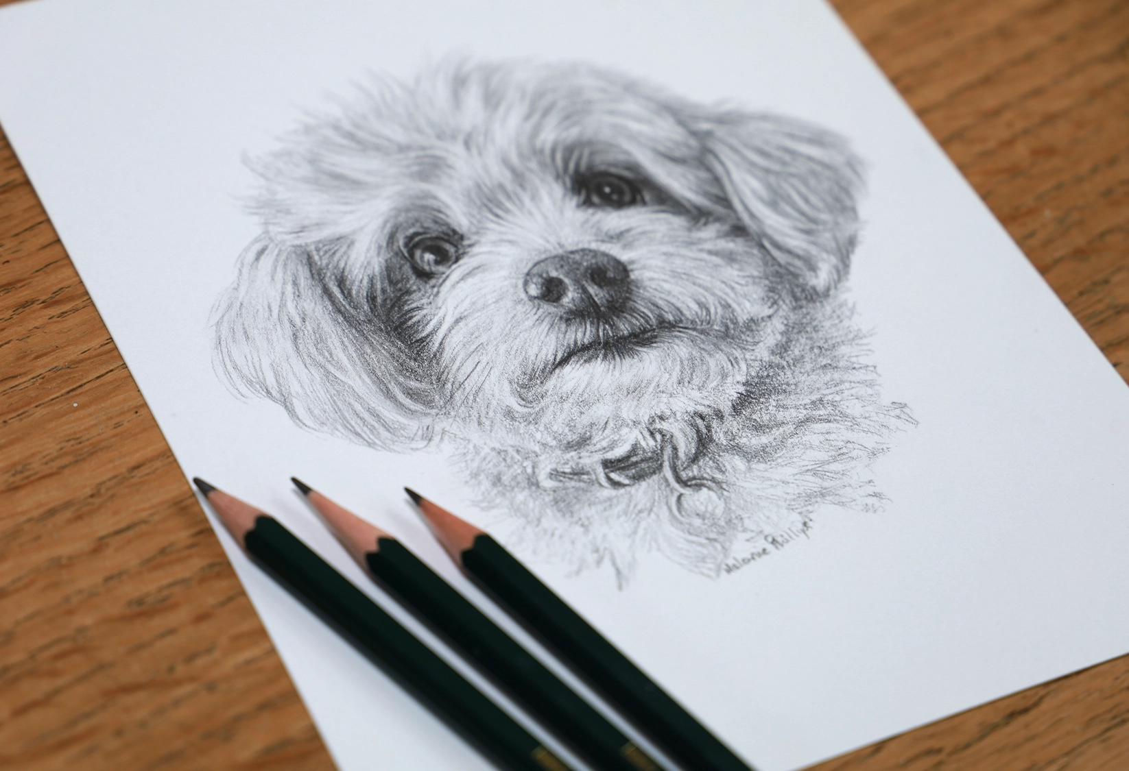 Two 8x6 pencil portraits for clients in the UK for in depth pricing guide.