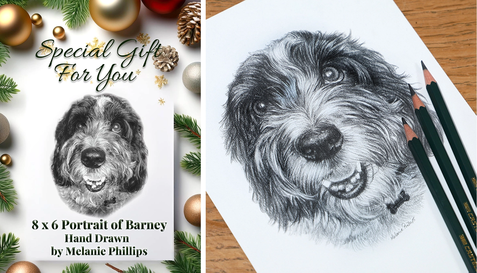 Gift voucher card for Barney and his family