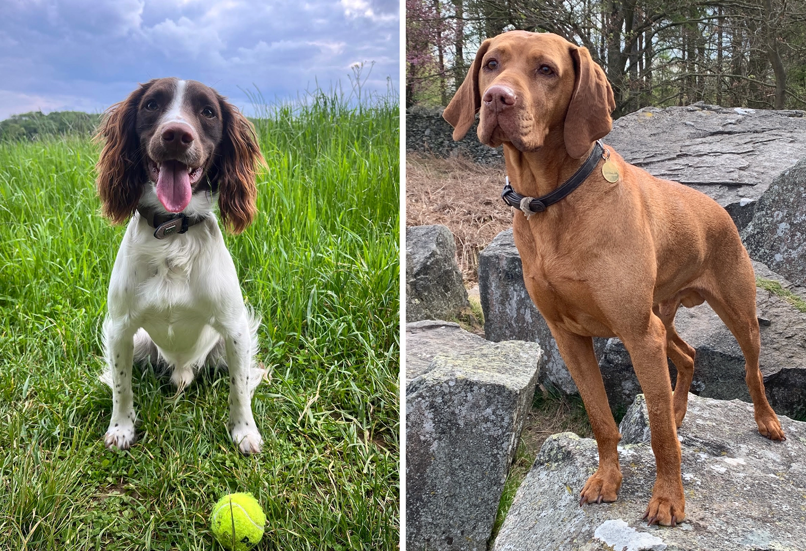 Melanie's Pencil Drawing desk with artwork