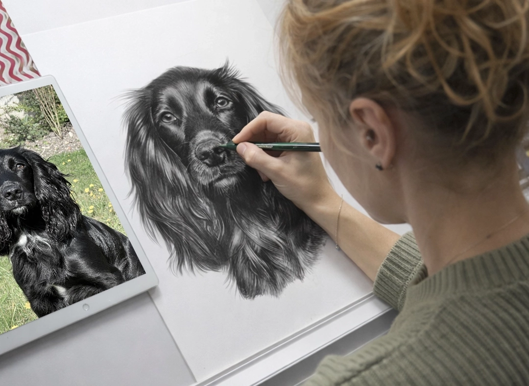 Melanie drawing Widgeon in our studio