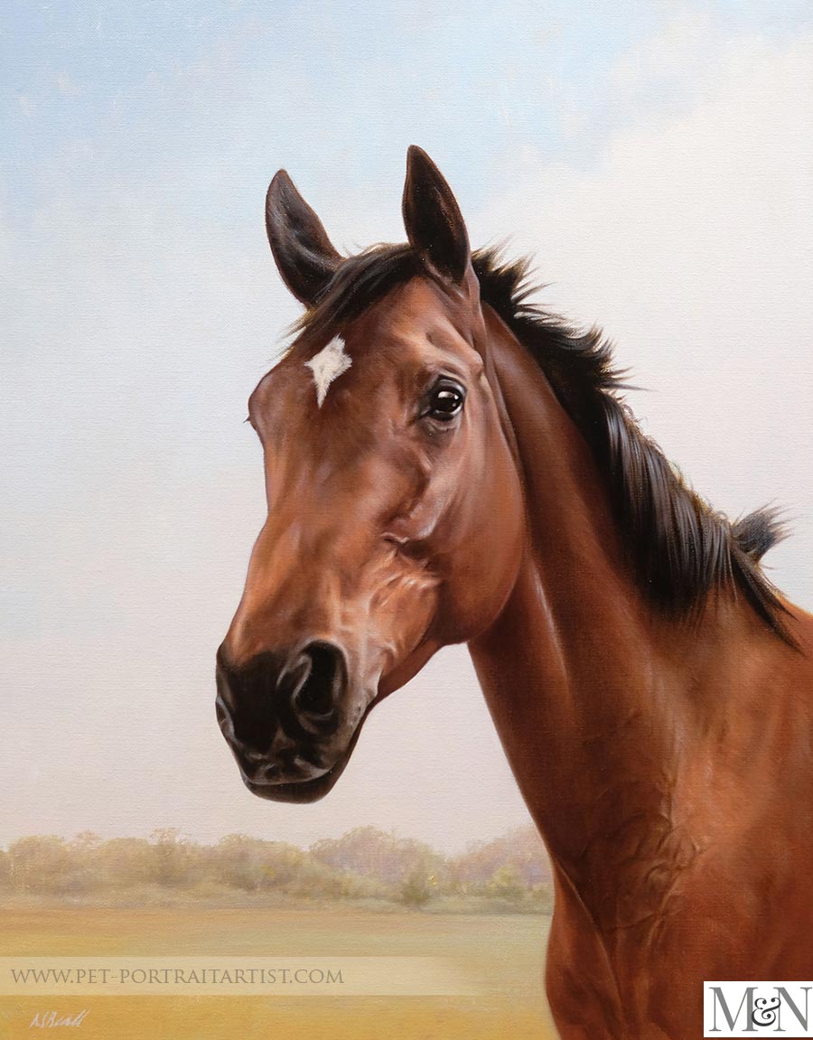 Horse Portrait commissions in oils by Nicholas Beall