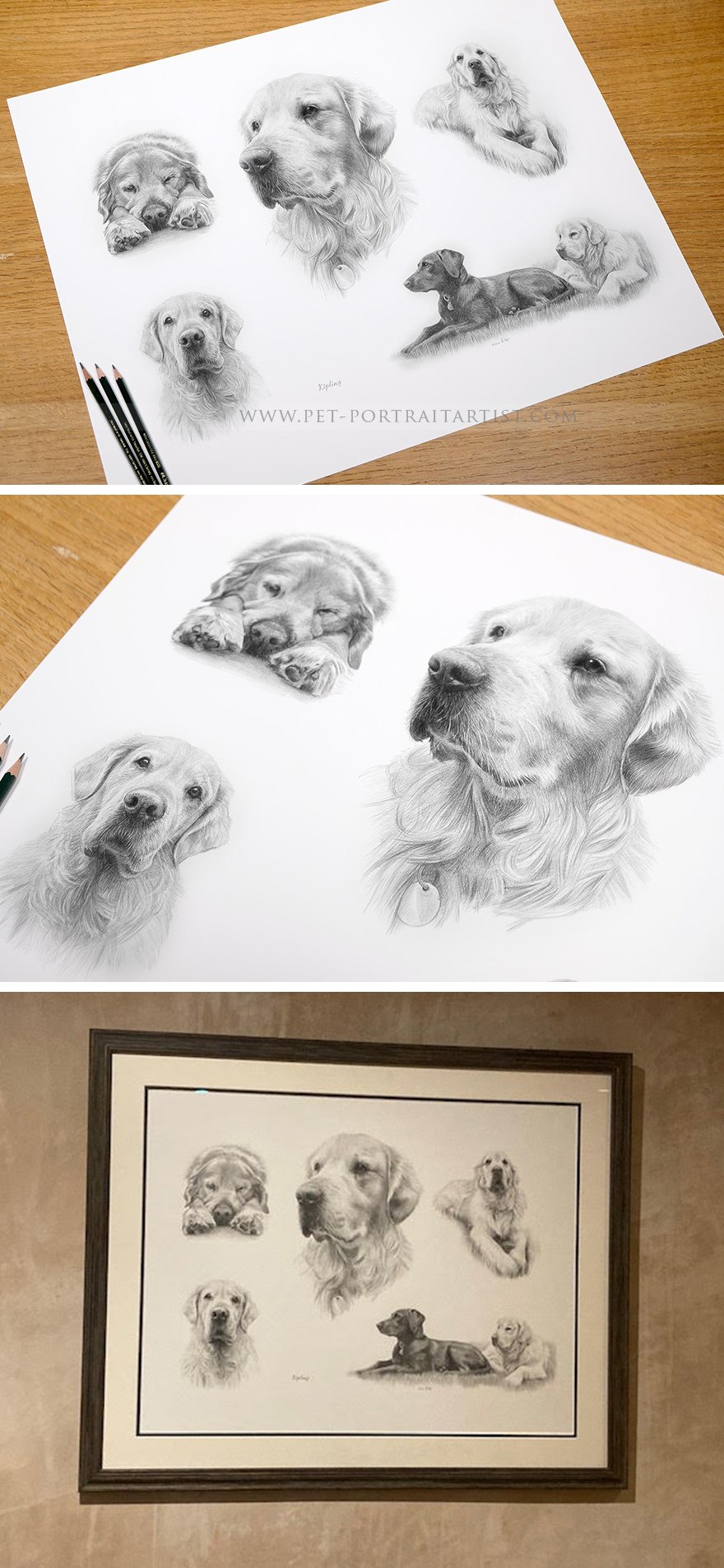 Montage Pencil Pet Portraits hand drawn by Melanie Phillips