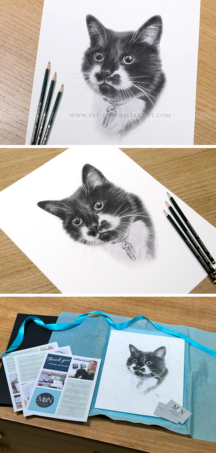 Detailed pencil portrait of cat with fine detail