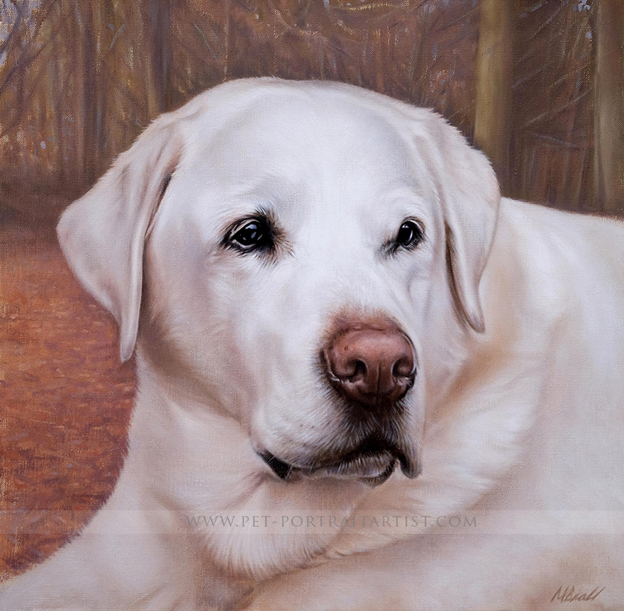 Realistic oil portrait of a Labrador, painted on canvas