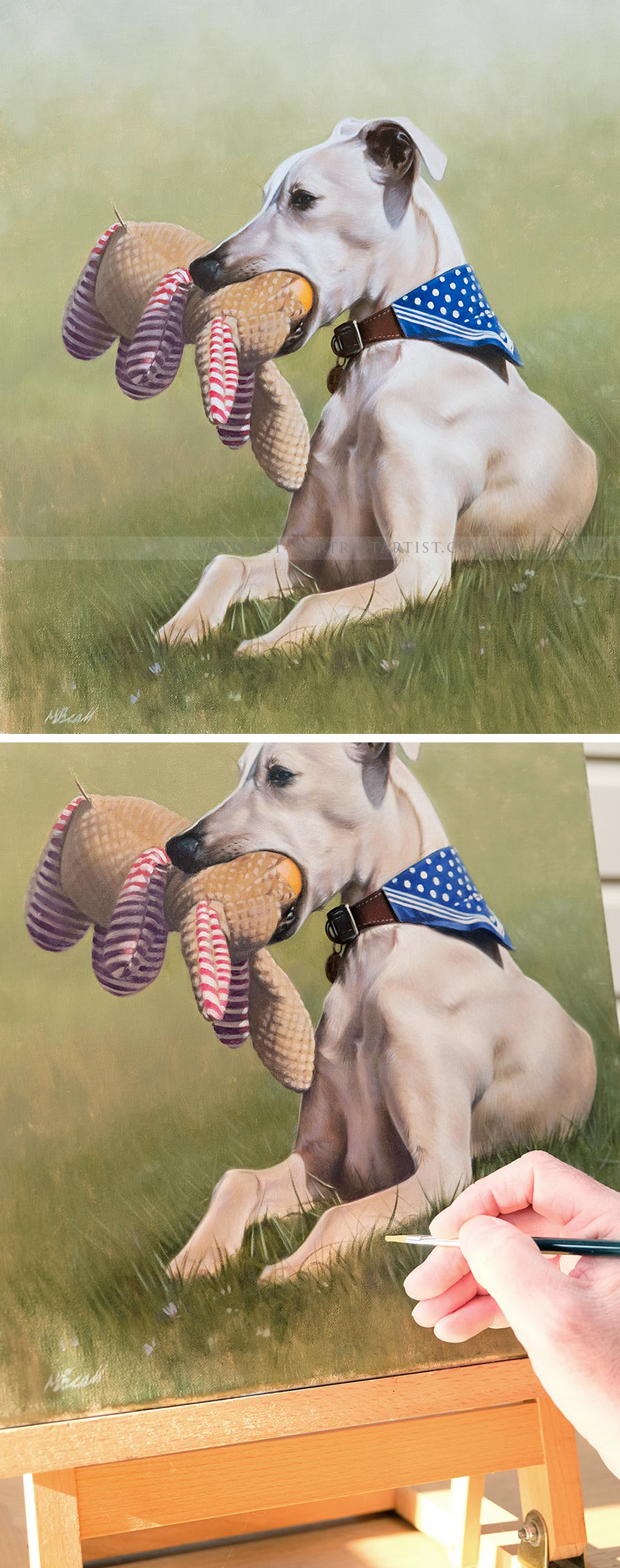 Custom Dog Portrait of dog in grass with toy.