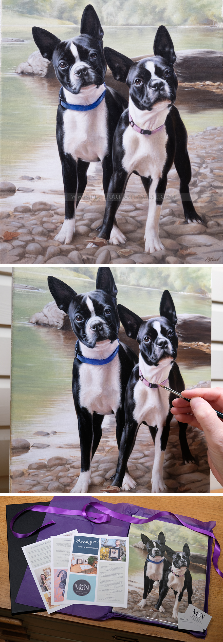 Oil painting of two Boston Terriers, playing in a stream.