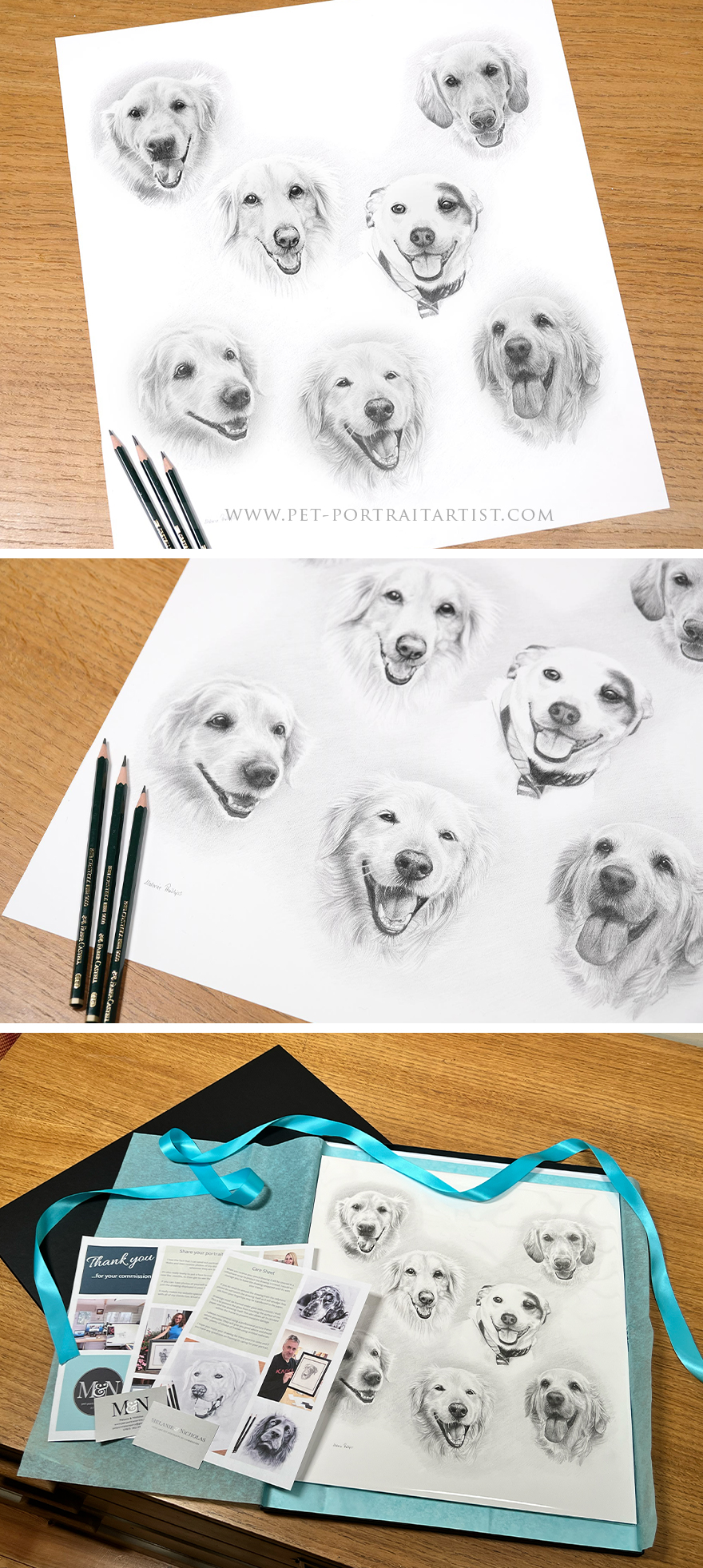 Five dog pencil portrait, head study composition by Melanie Phillips