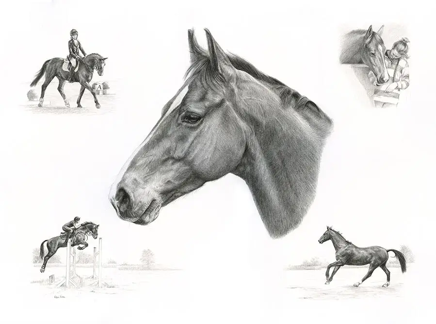 Rose - A majestic horse's story of grace and beauty Rose's graceful Life Story drawing showcasing this beautiful horse's elegance and spirit