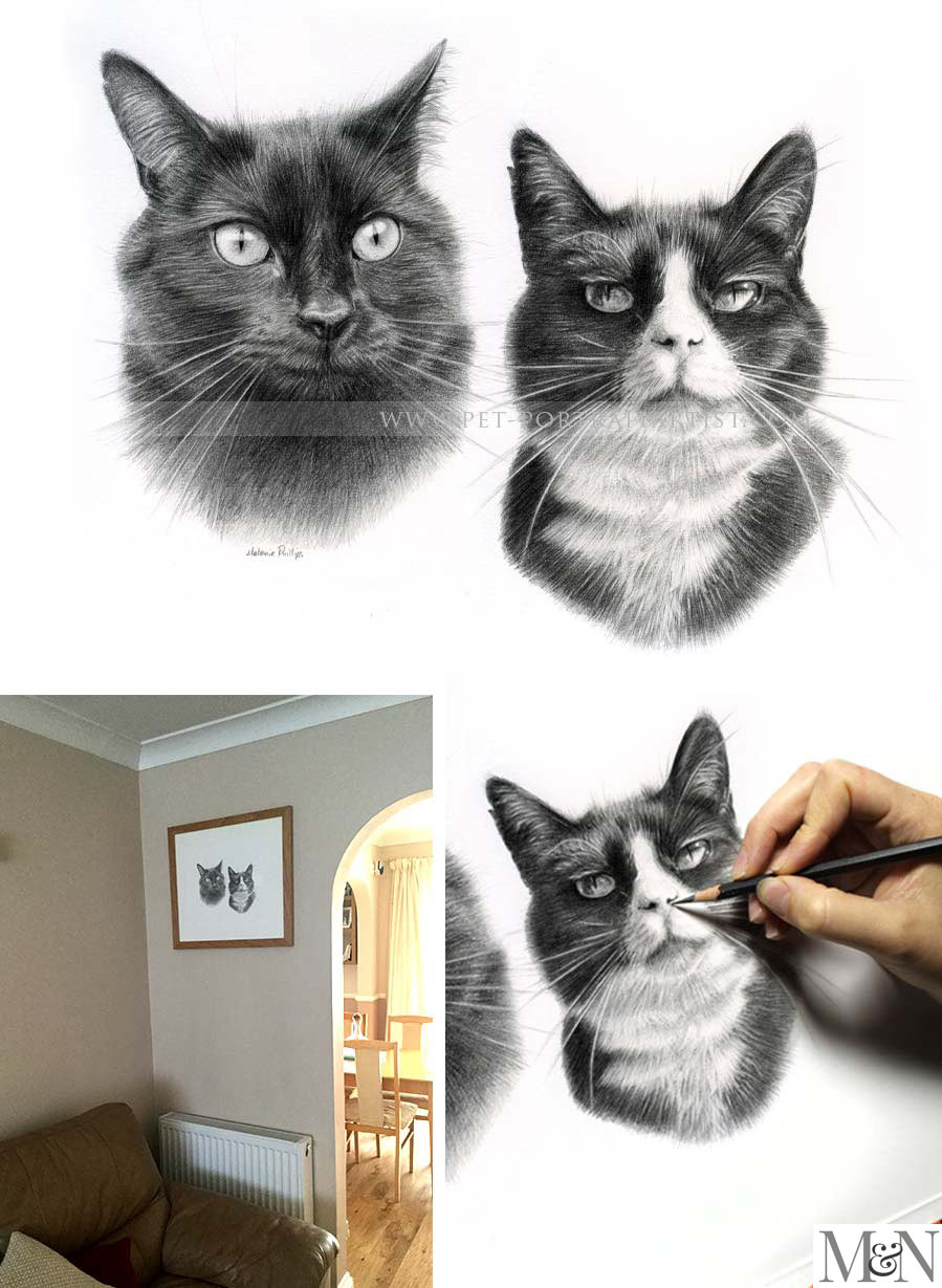 cat portraits pencil