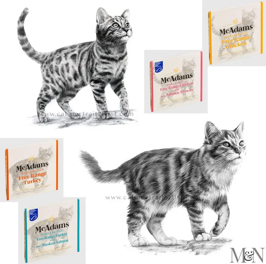 Cat Portrait Illustrations for McAdams Pet Food Packaging – By Melanie Phillips Professional illustrations of two cats in a slightly looser pencil style, used for McAdams pet food packaging designs.