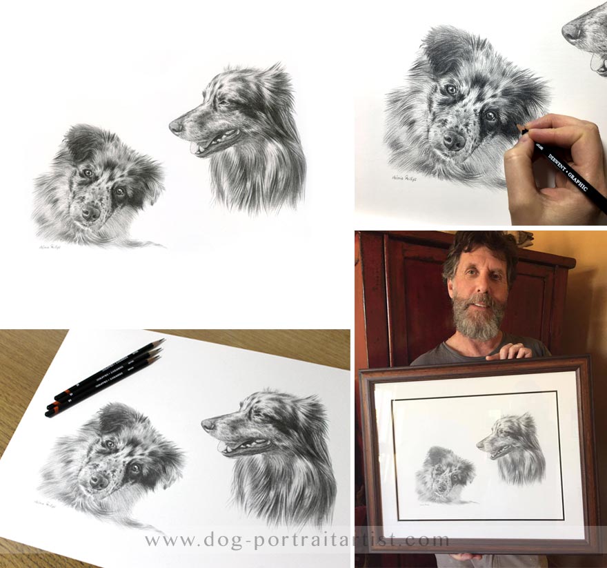 Dog Pet Portraits