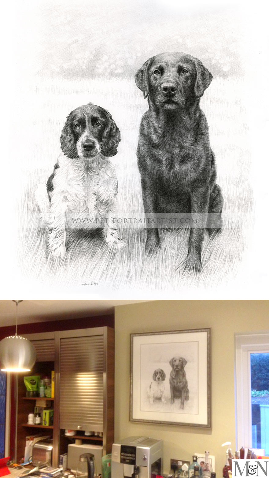 pet portraits pencils