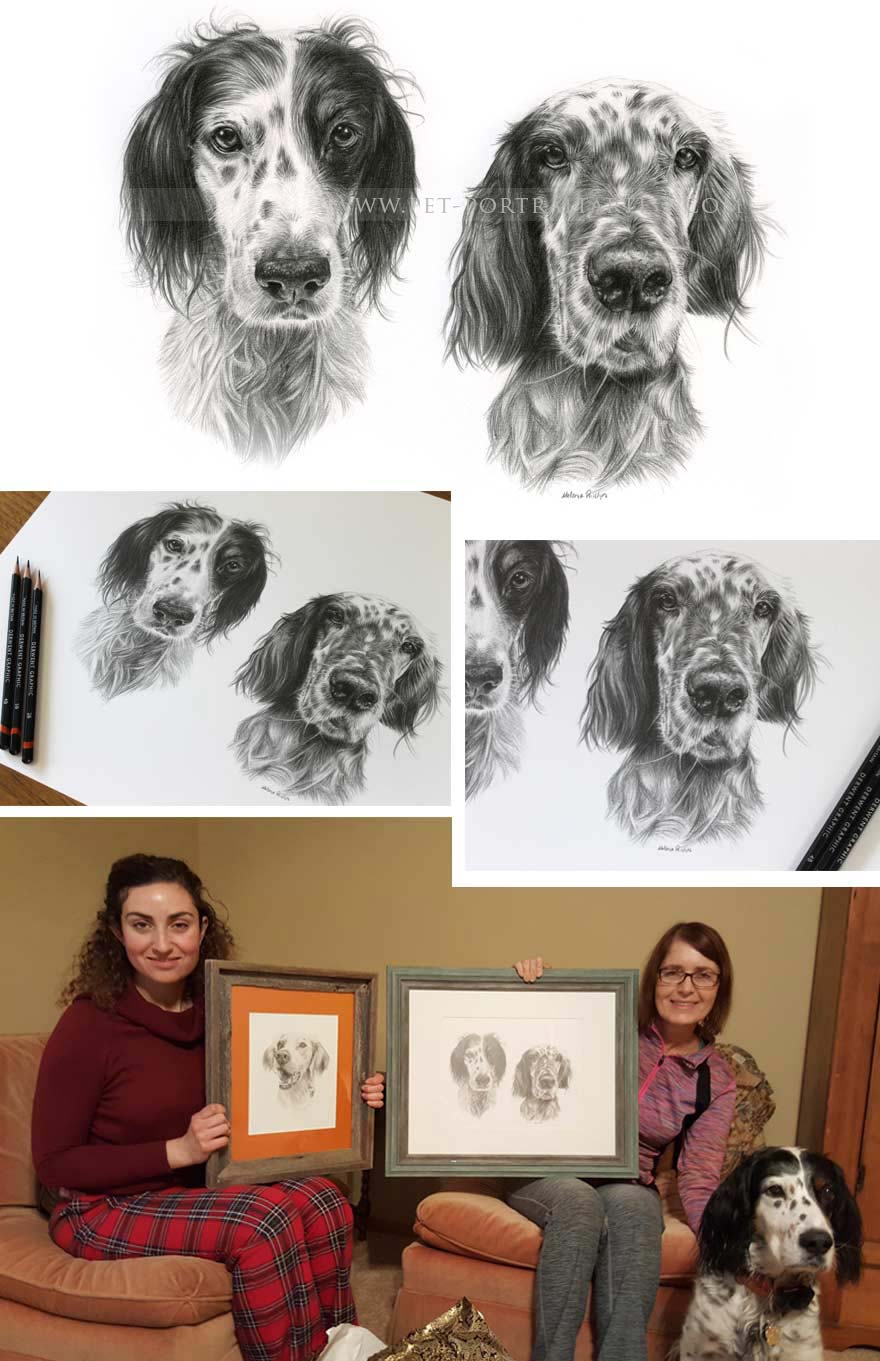 dog portraits