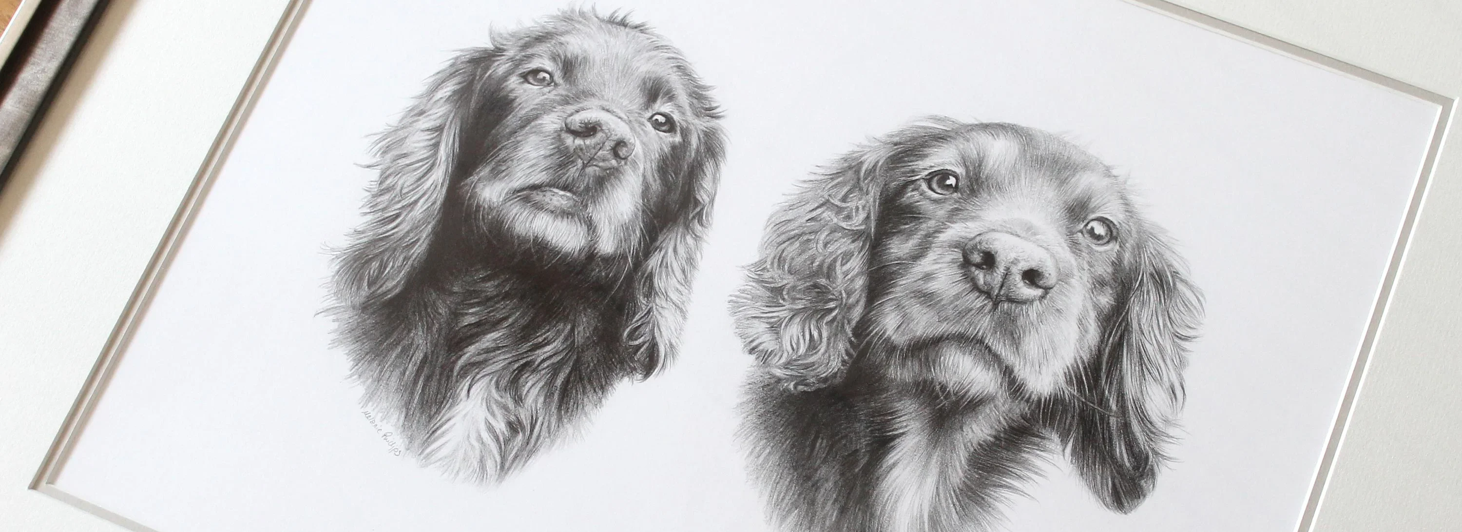 Pet Portrait Pricing and Commission Options A comprehensive guide to pricing options for pet portrait commissions.