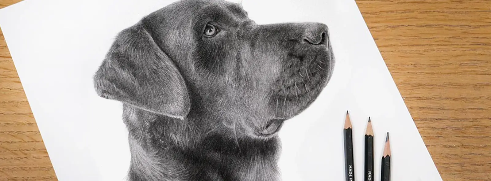 Hand-Drawn Pencil Pet Portraits Hand-drawn pencil portraits by Melanie Phillips.