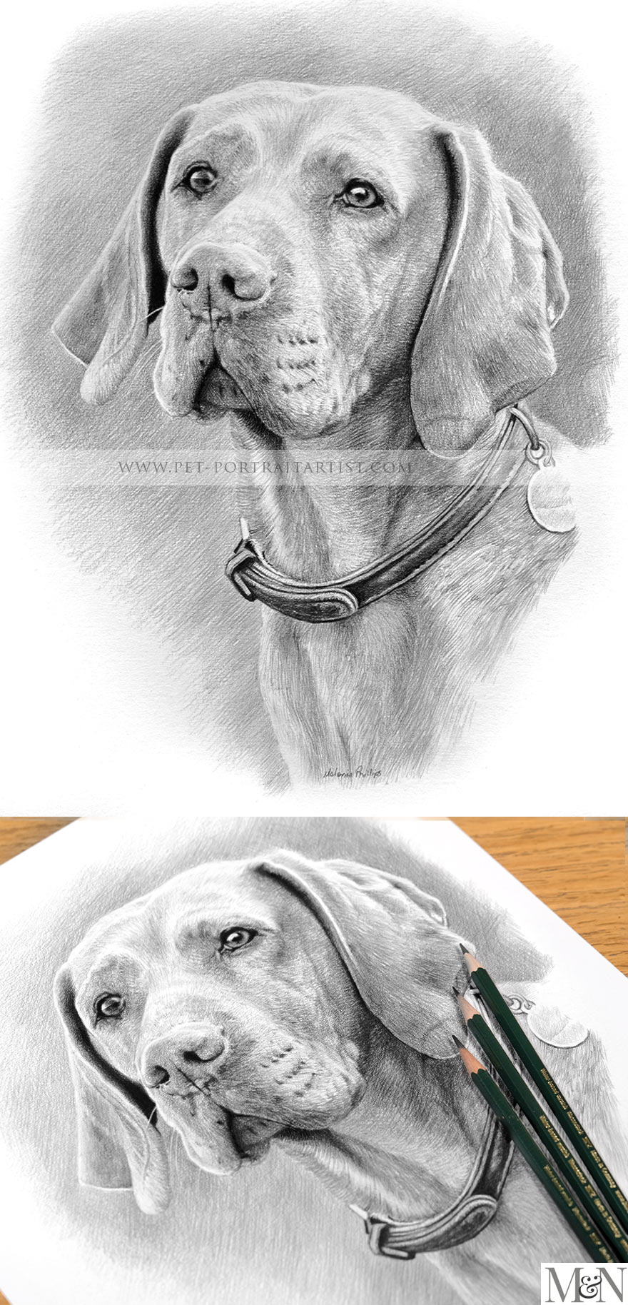 Pencil Portraits