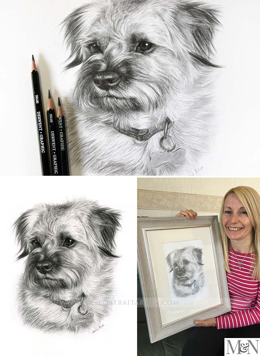 Pencil Pet Portraits