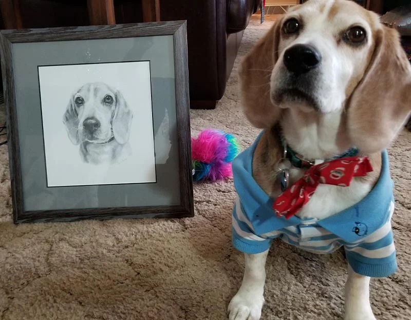 Client Ben's testimonial for the Blue pet portrait