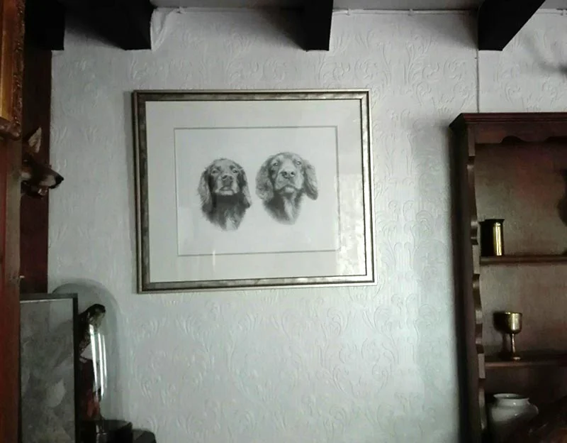 Pencil drawing of two spaniels beautifully framed and displayed on Gail's wall, showcasing the detailed artwork.