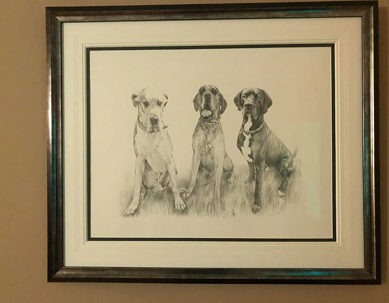 Client Nicola Marchant's testimonial for her pet portrait