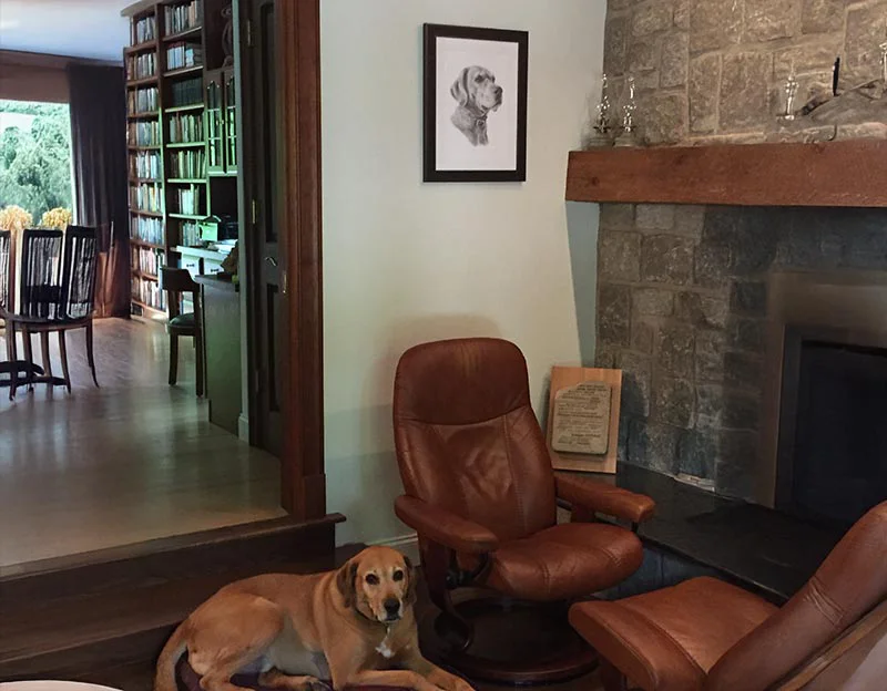 Client Verity's testimonial for Rusty's portrait