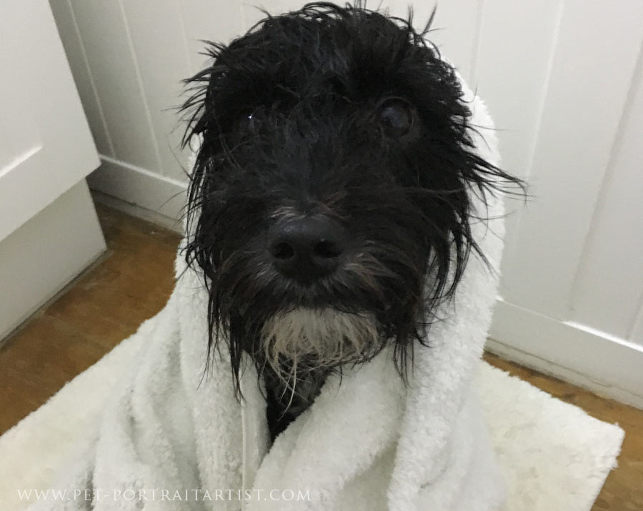 Lily in the bath